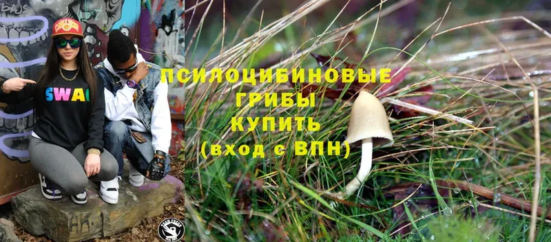 Галлюциногенные грибы Magic Shrooms  наркошоп  Красногорск 